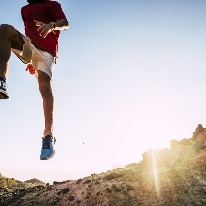 plancha de vapor vertical